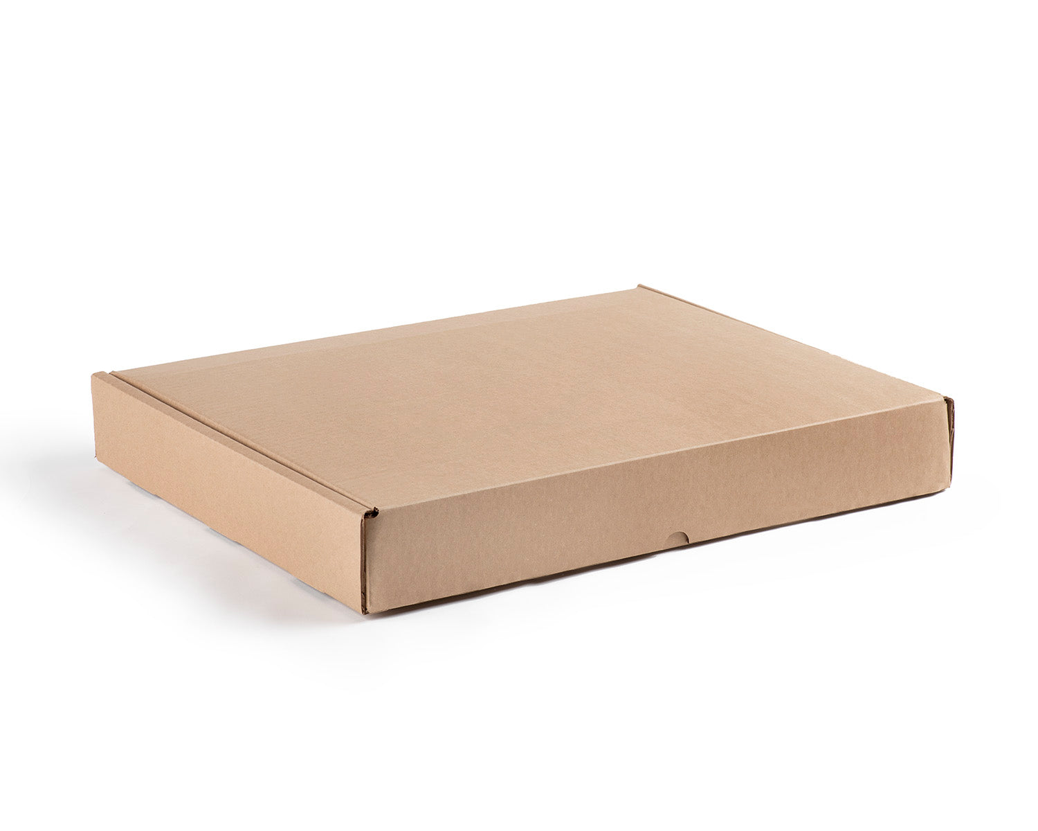 SAFESHIP - Premium Art Shipping Box