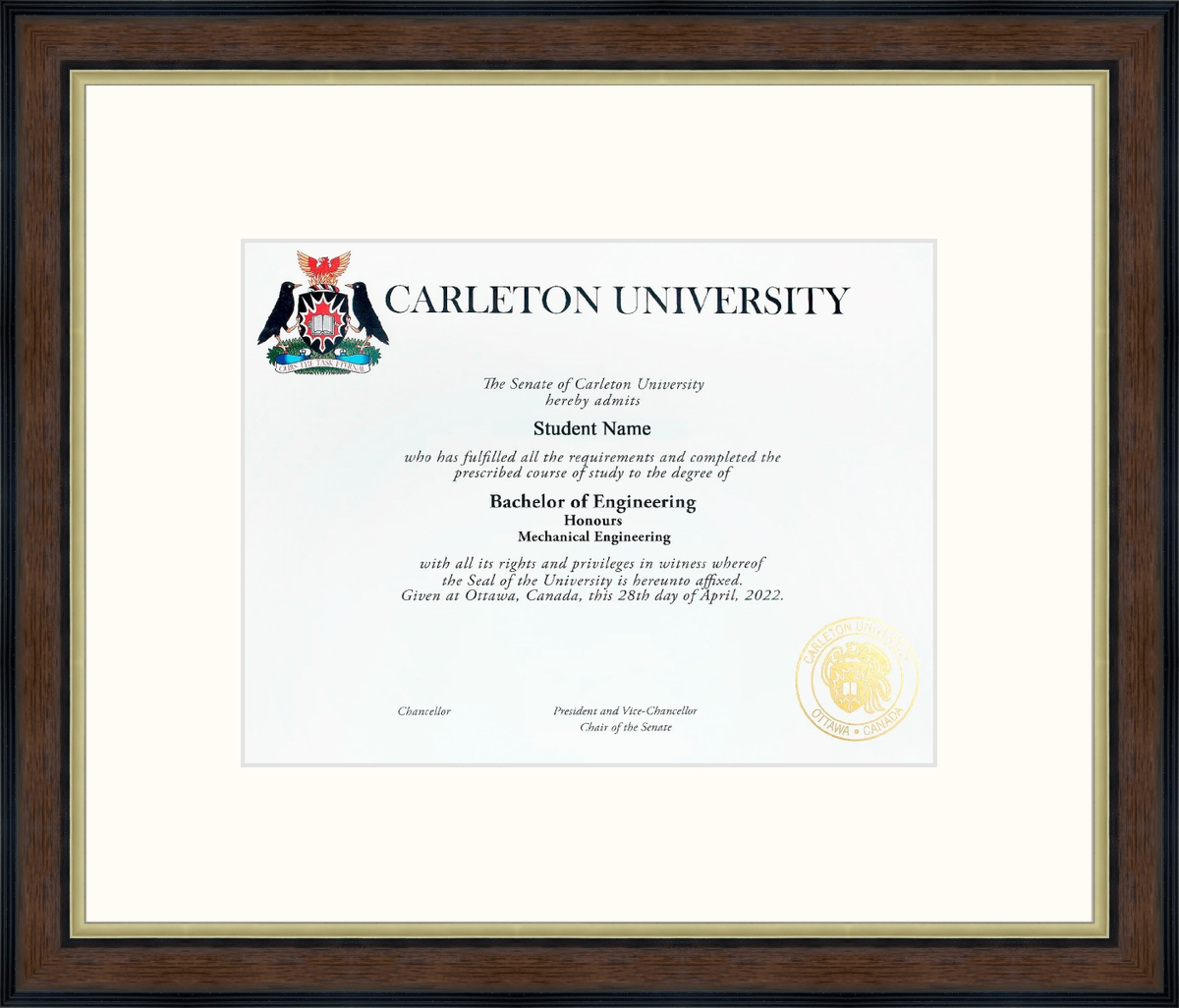 Carleton University Walnut Gold L1 Carleton White