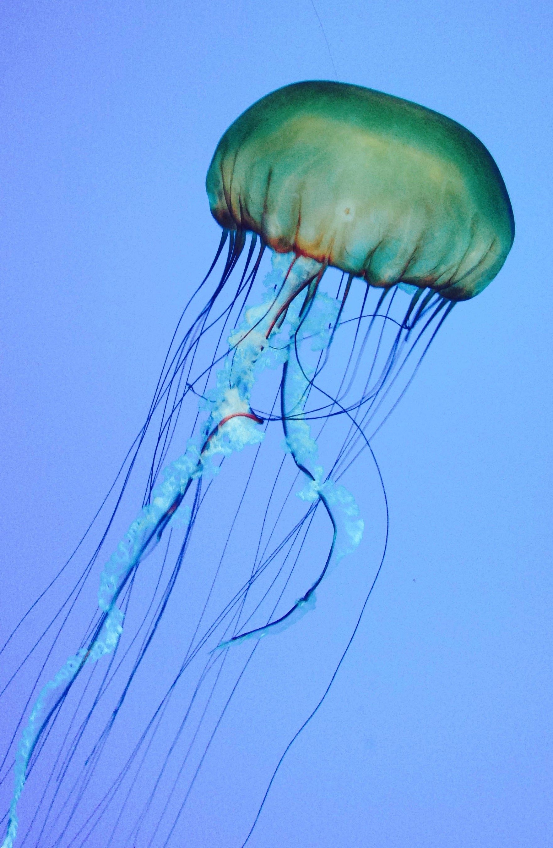 Event Image 2