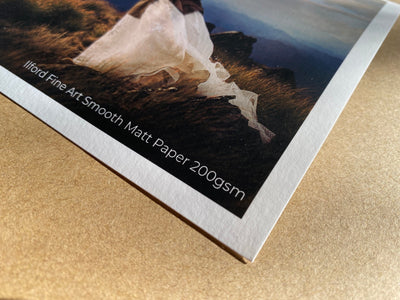 Print only