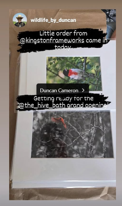 Archival 20x24 Matted Print Bundle