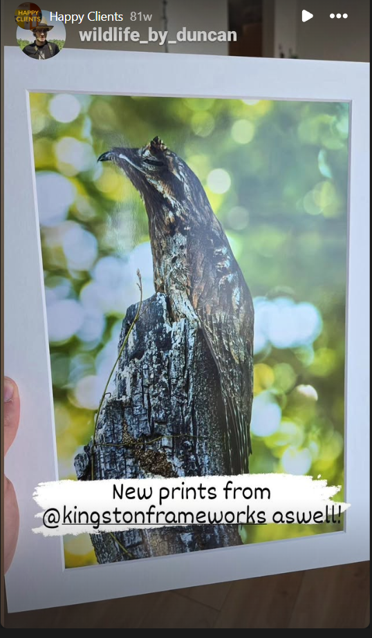 Archival 20x24 Matted Print Bundle