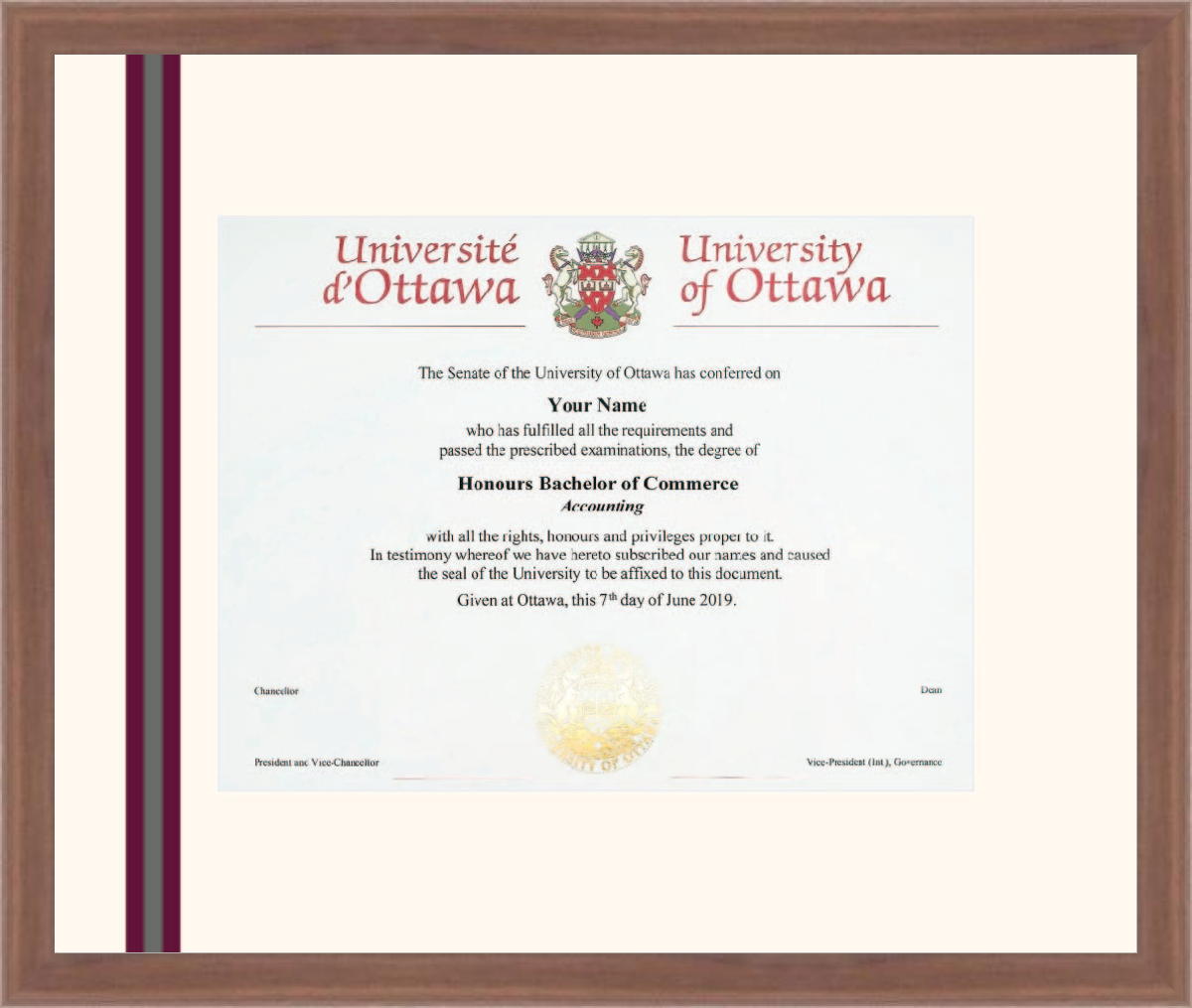 uOttawa R1932008 Ramino Walnut Mahogany L1 Ottawa Tricolour Vertical Strip