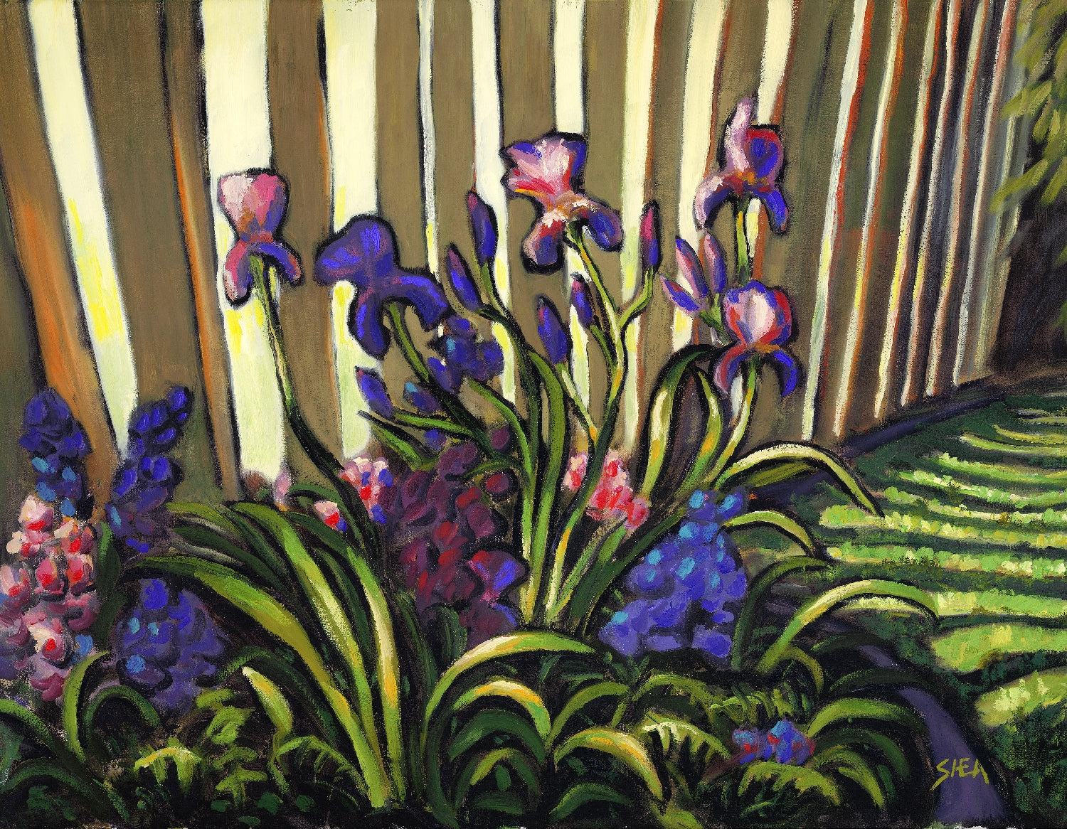 Irises #1 - Archival Print