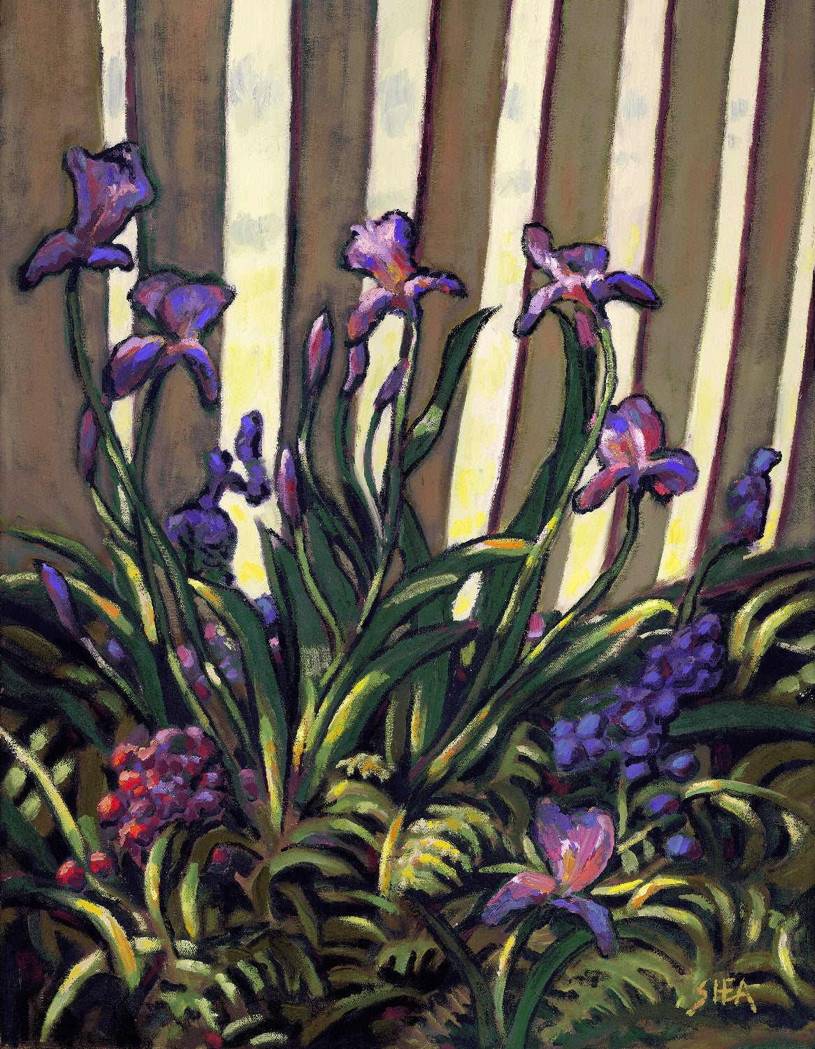 Irises #2 - Archival Print