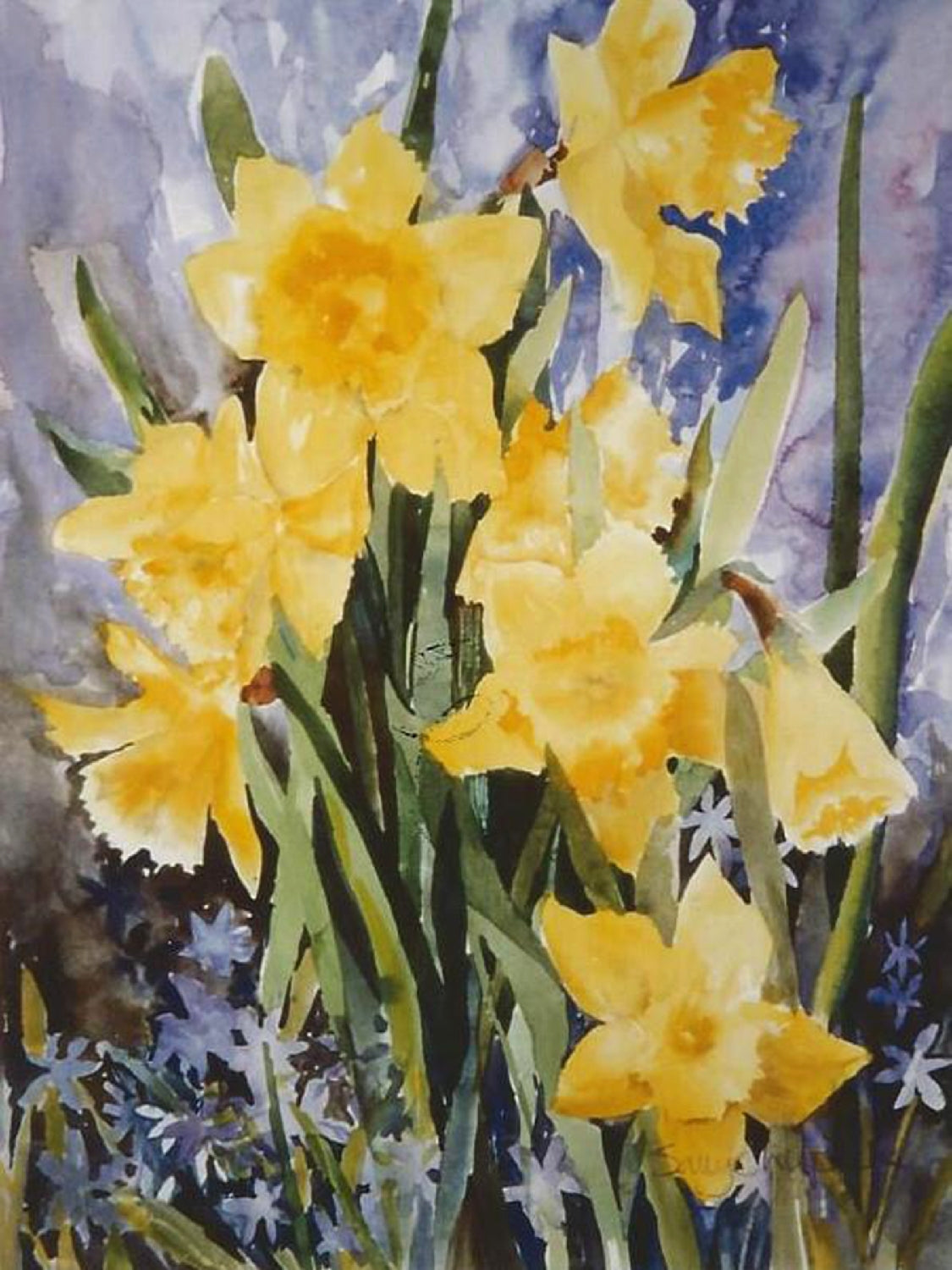 Daffodils - Archival Print