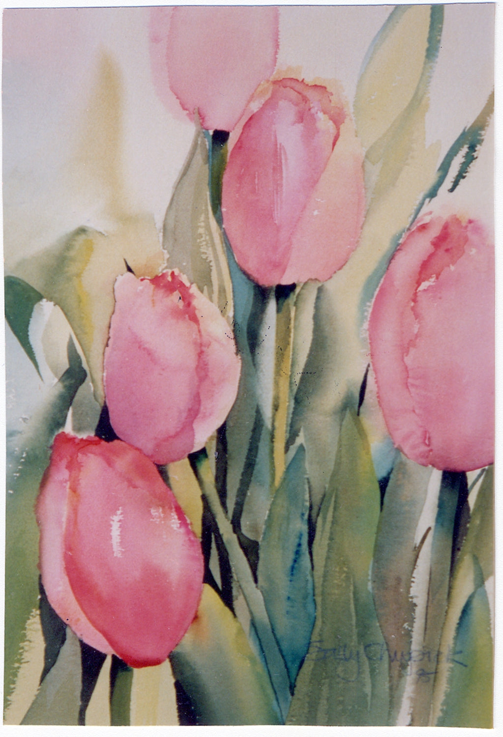 Pink Tulips - Archival Print