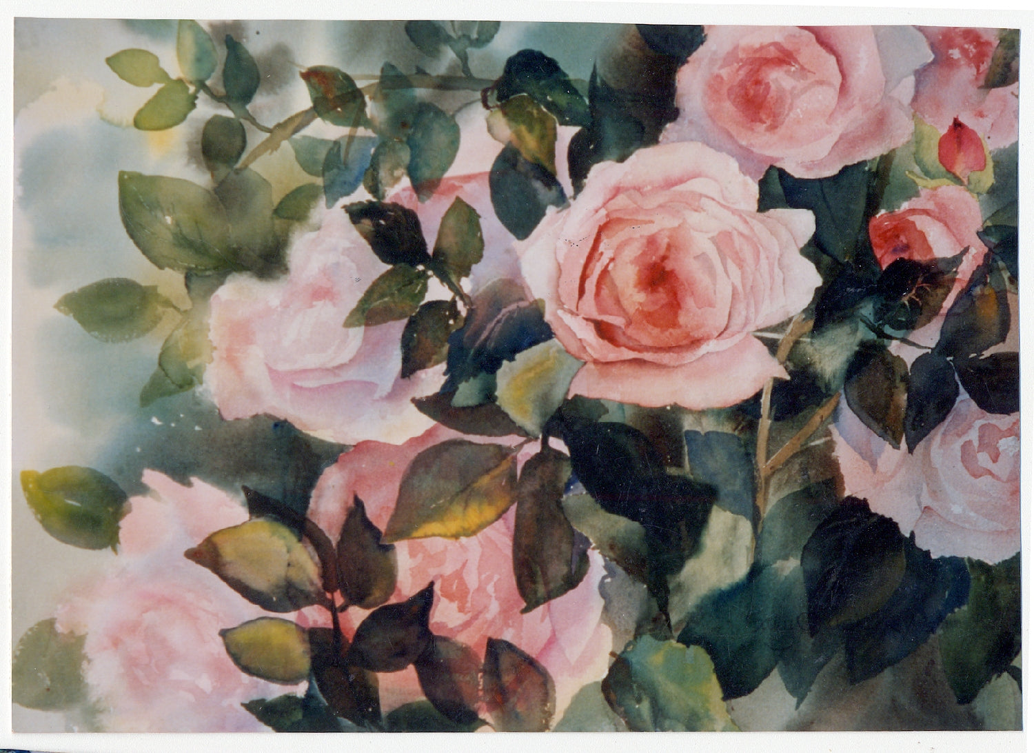 Roses #1 - Archival Print