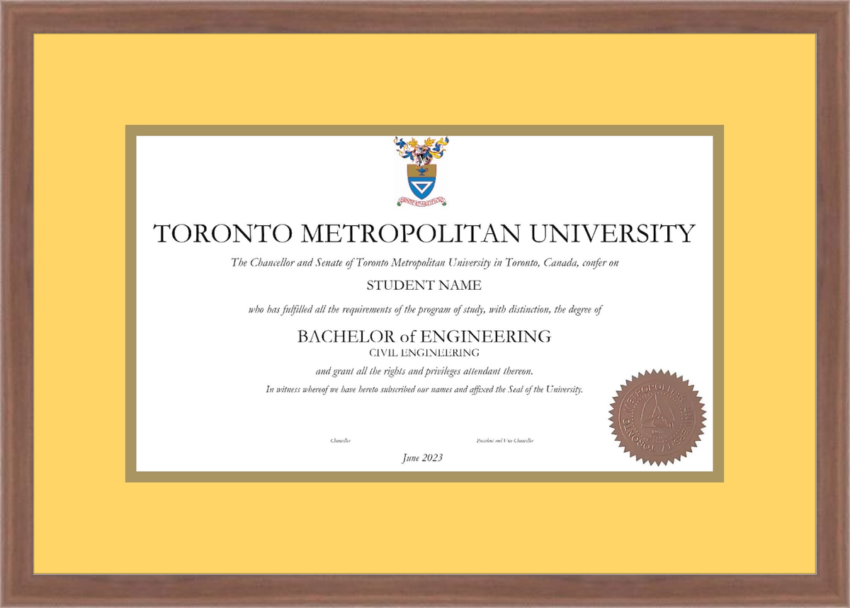 Custom Toronto Metropolitan University Diploma Frame