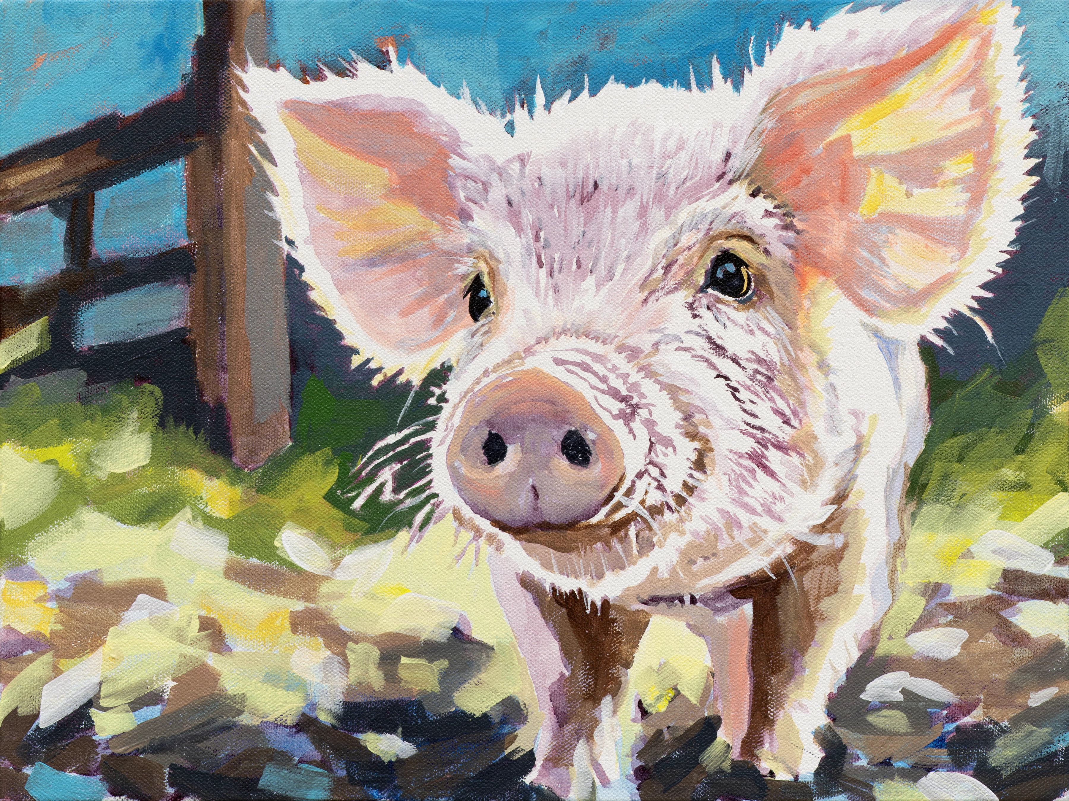 This Little Piggy