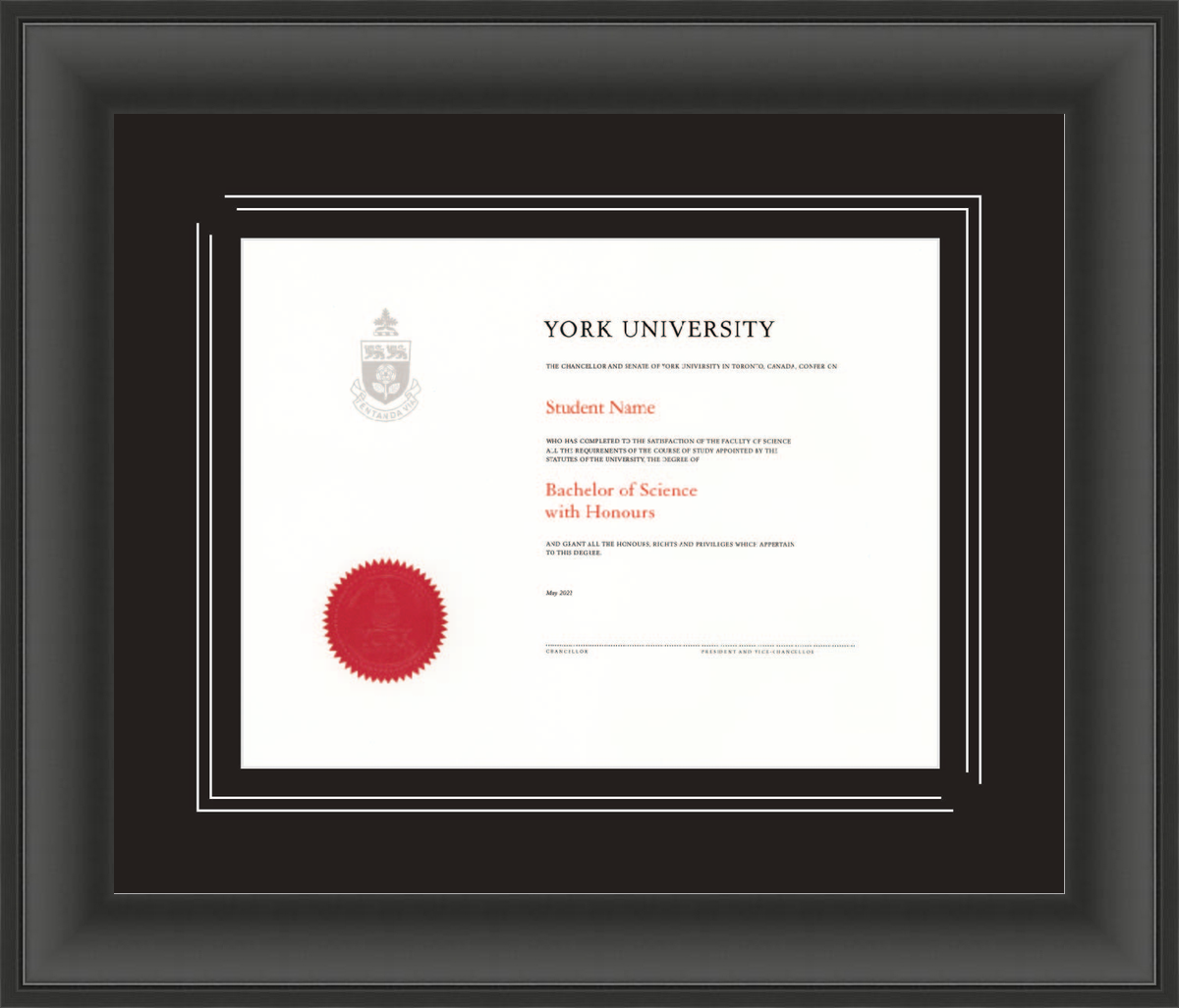 Custom York University Diploma Frame