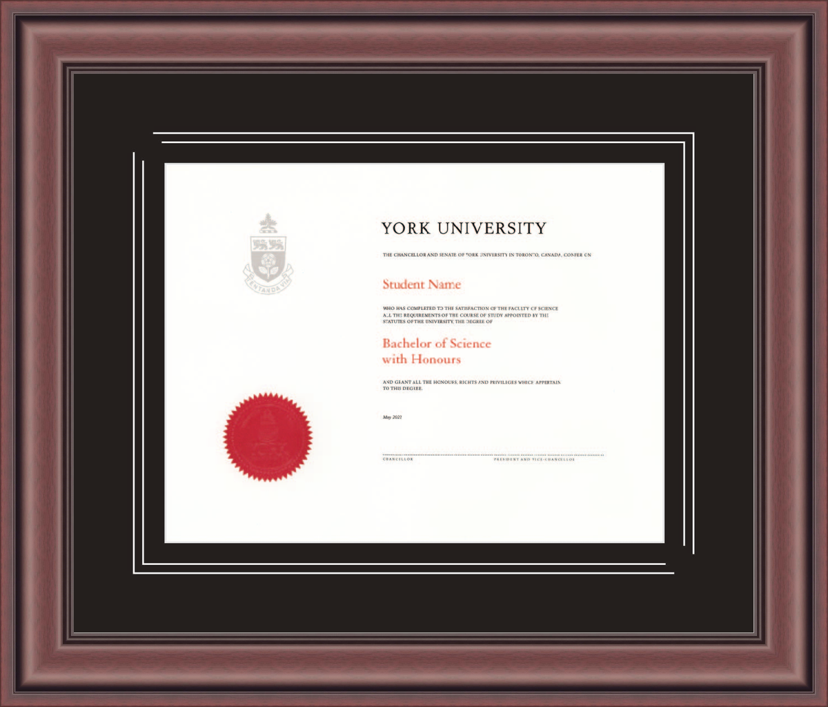 Custom York University Diploma Frame