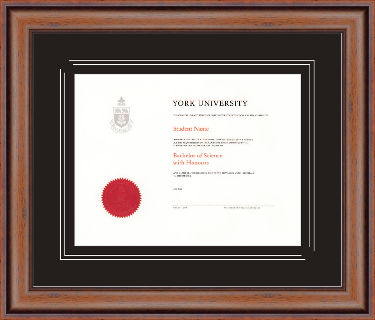 Custom York University Diploma Frame