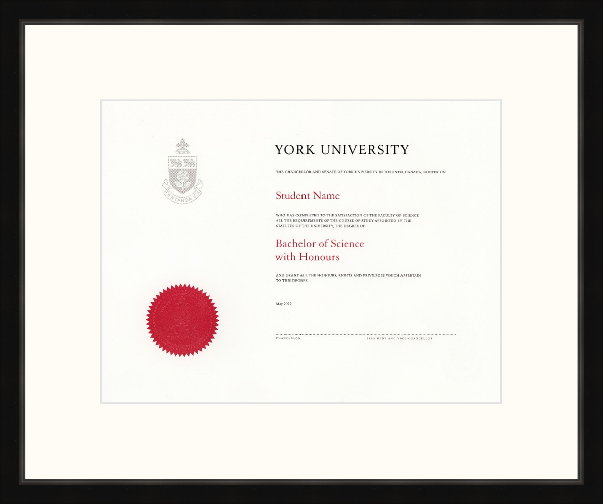 Custom York University Diploma Frame FHD1007BL Guardian 2 Black L1 York White