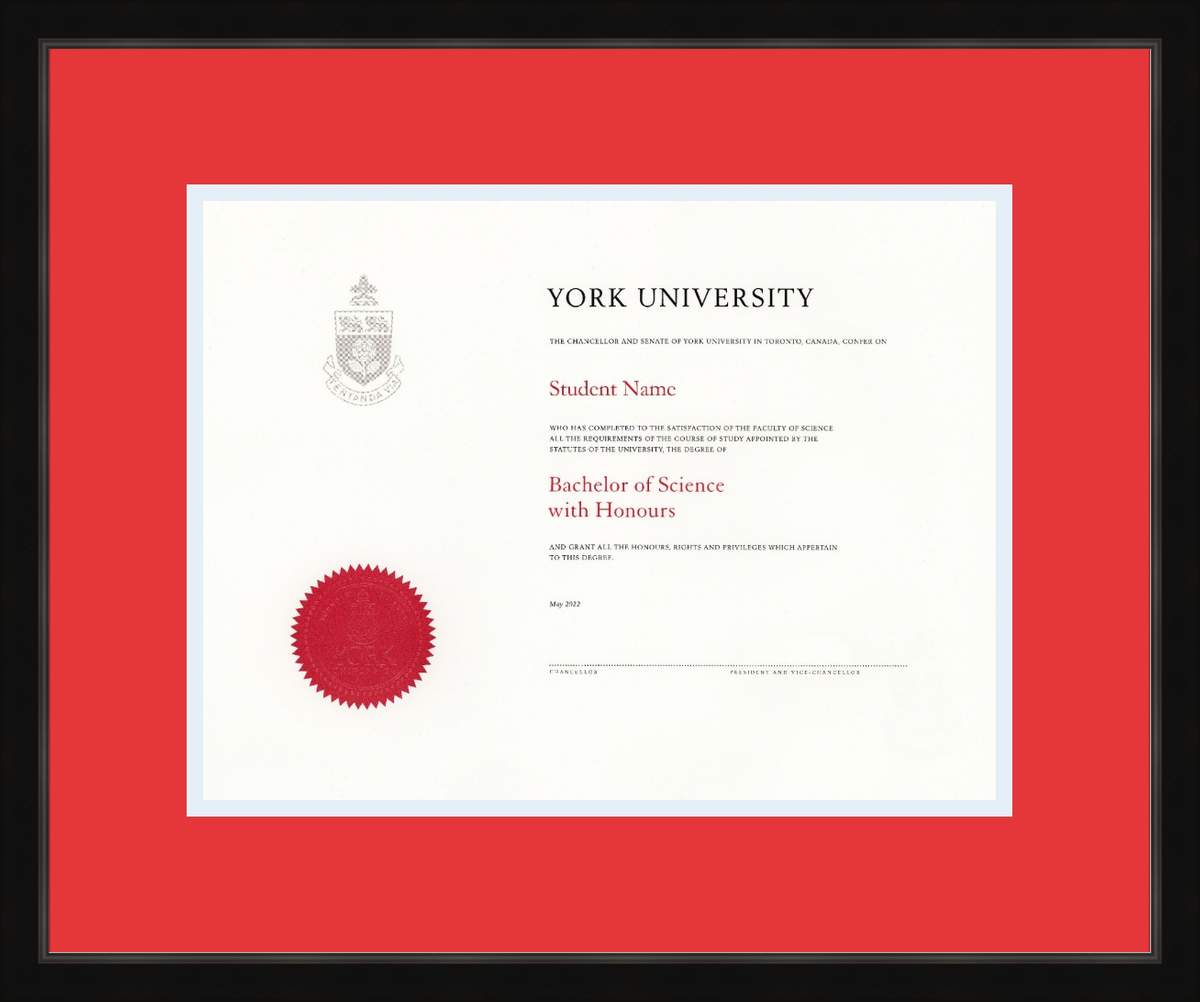 Custom York University Diploma Frame