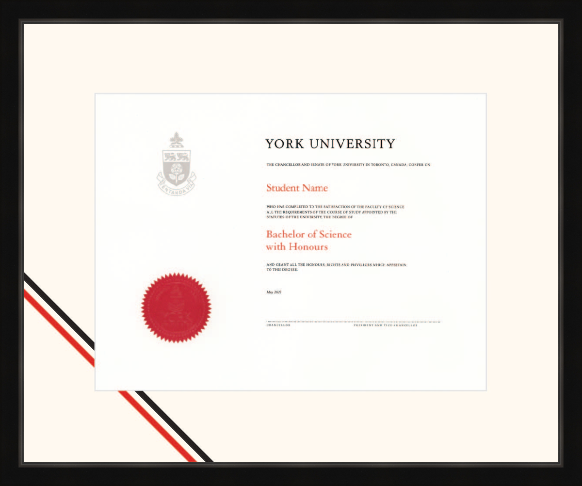 Custom York University Diploma Frame