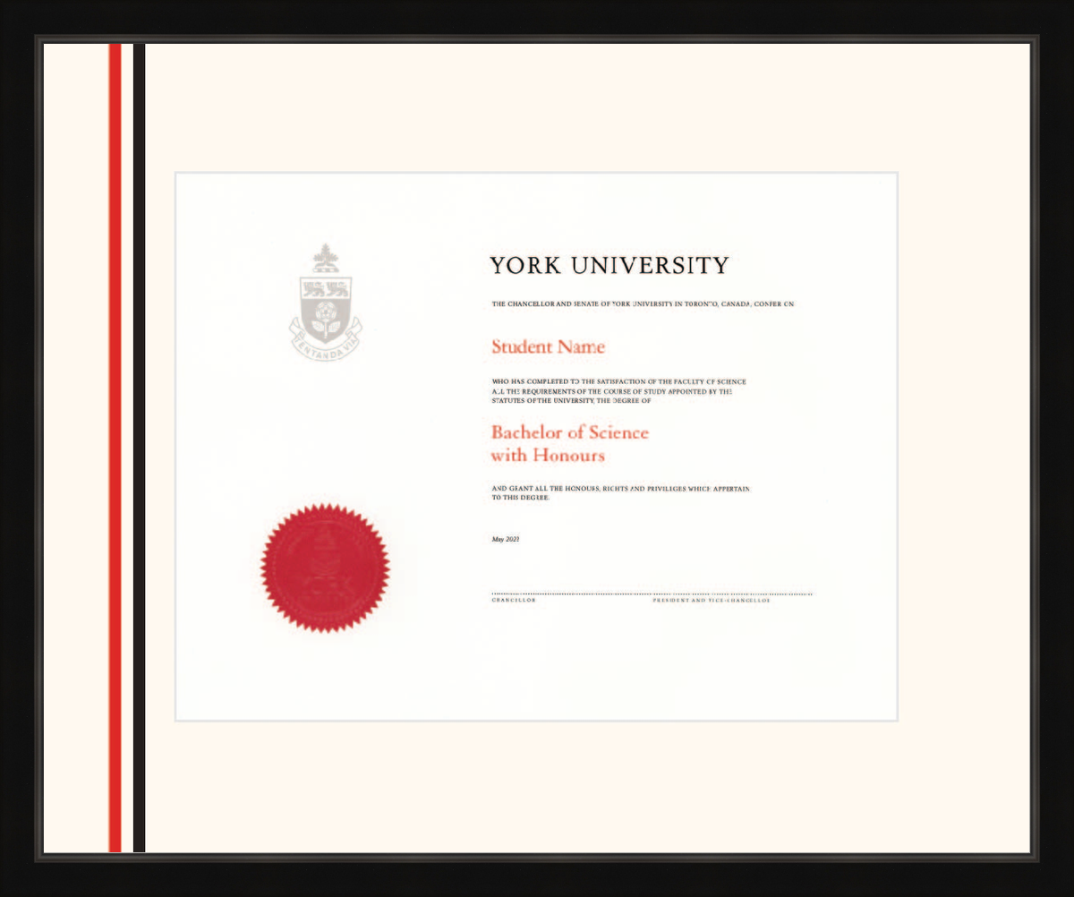 Custom York University Diploma Frame