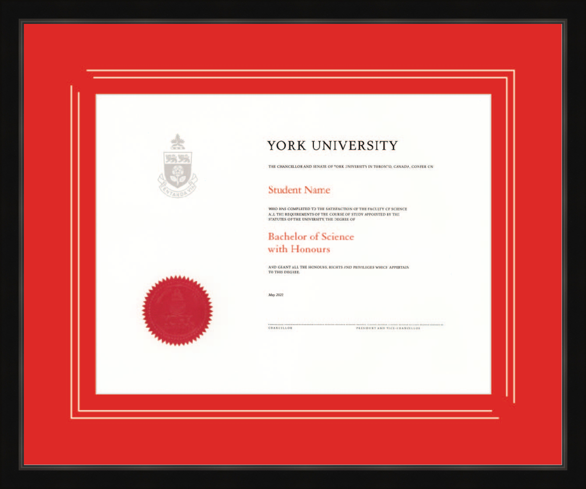 Custom York University Diploma Frame