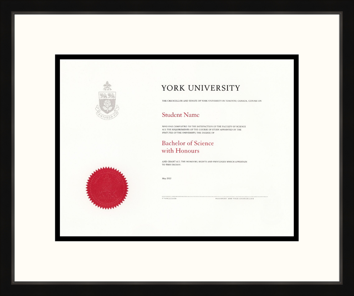 Custom York University Diploma Frame FHD1007BL Guardian 2 Black L1 York White Black