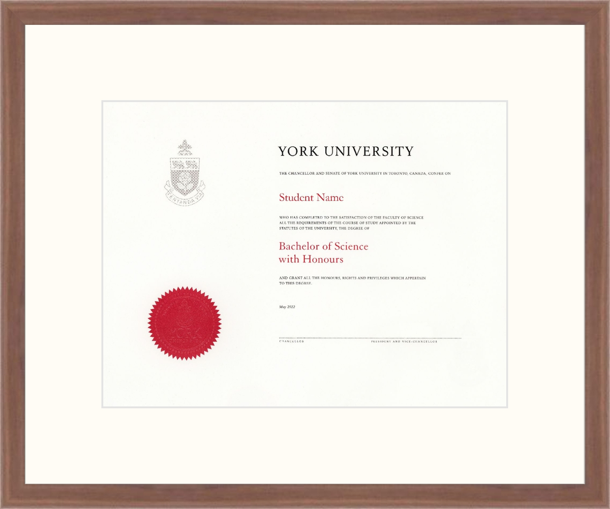 Custom York University Diploma Frame