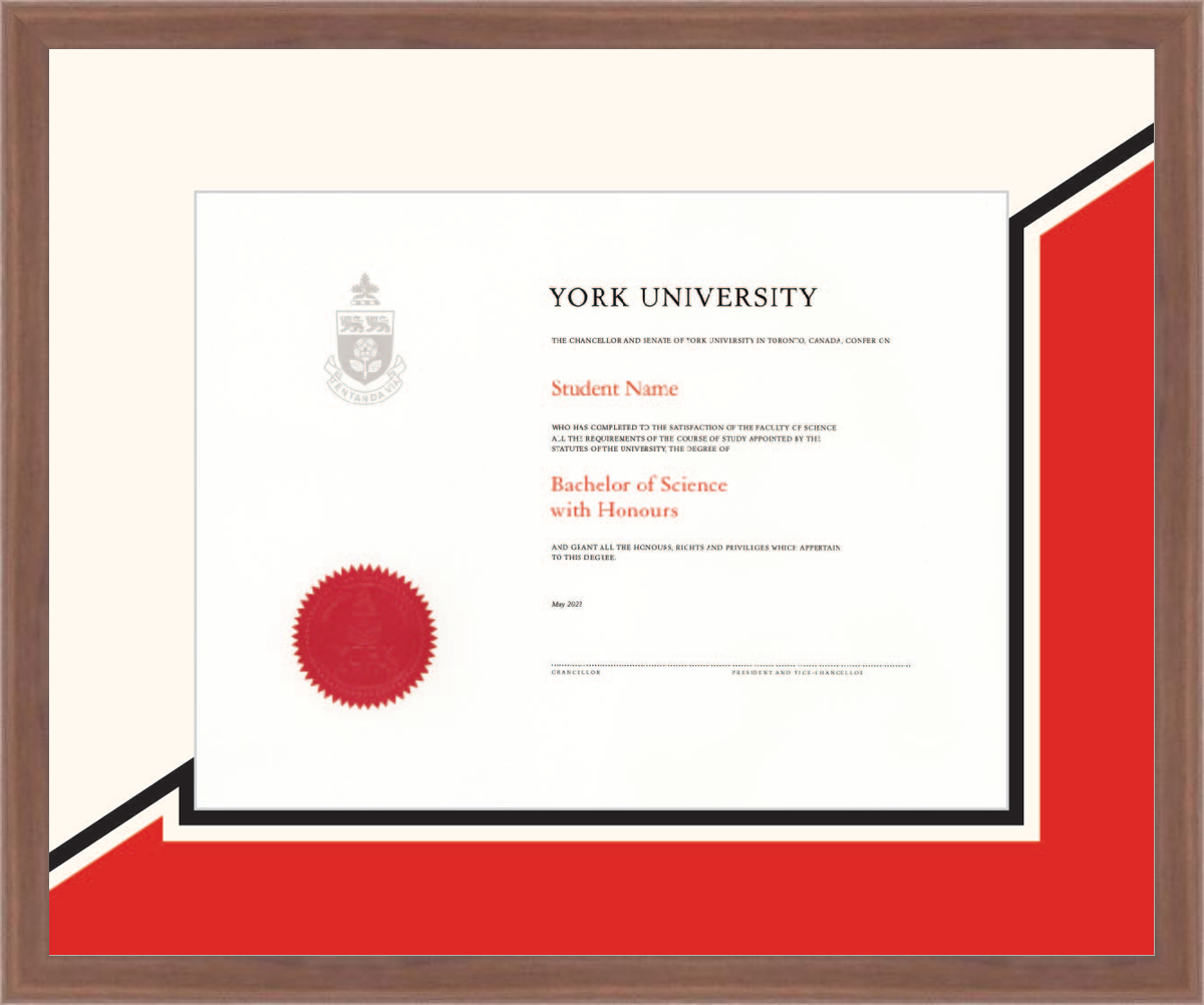 Custom York University Diploma Frame