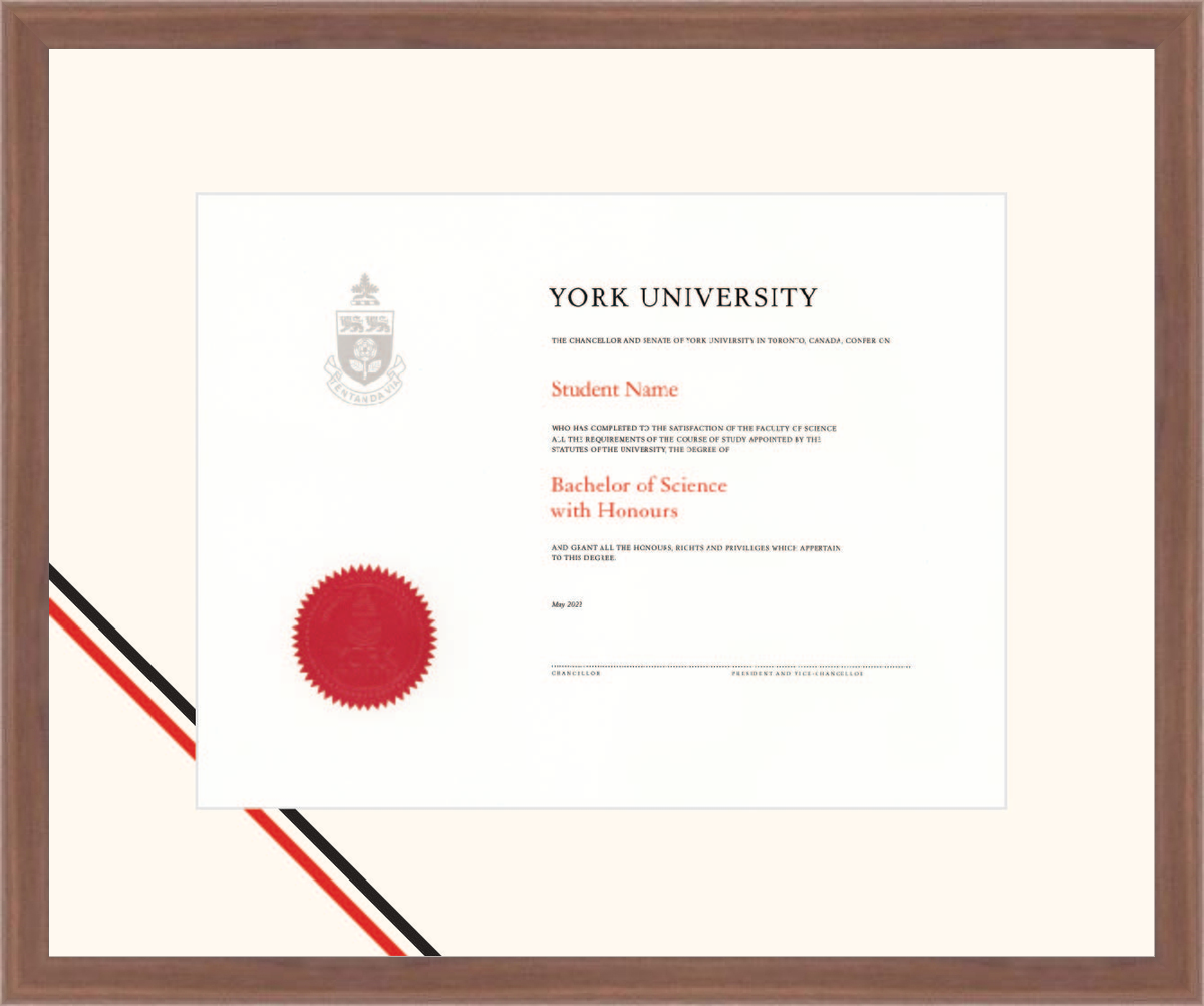 Custom York University Diploma Frame
