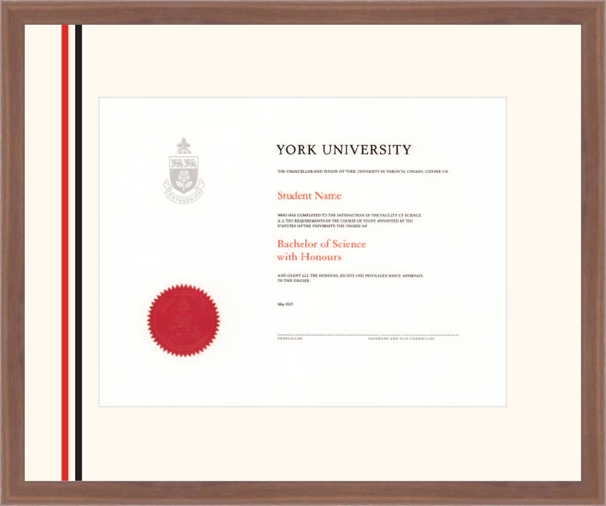 Custom York University Diploma Frame