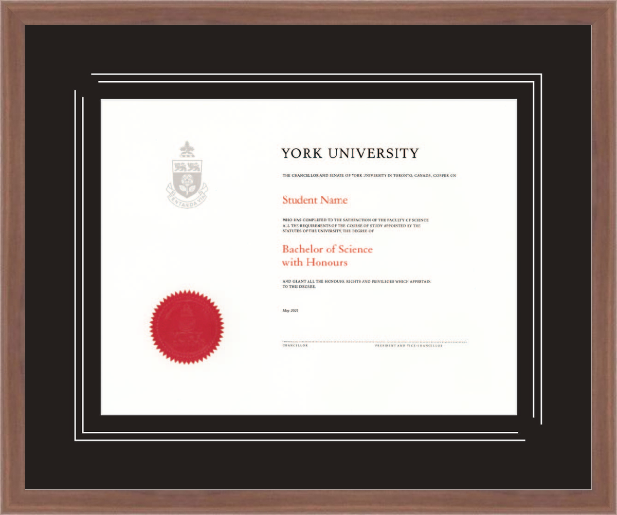 Custom York University Diploma Frame
