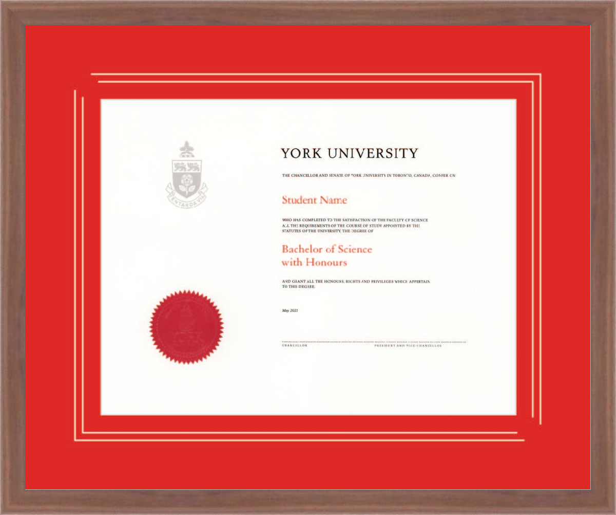 Custom York University Diploma Frame
