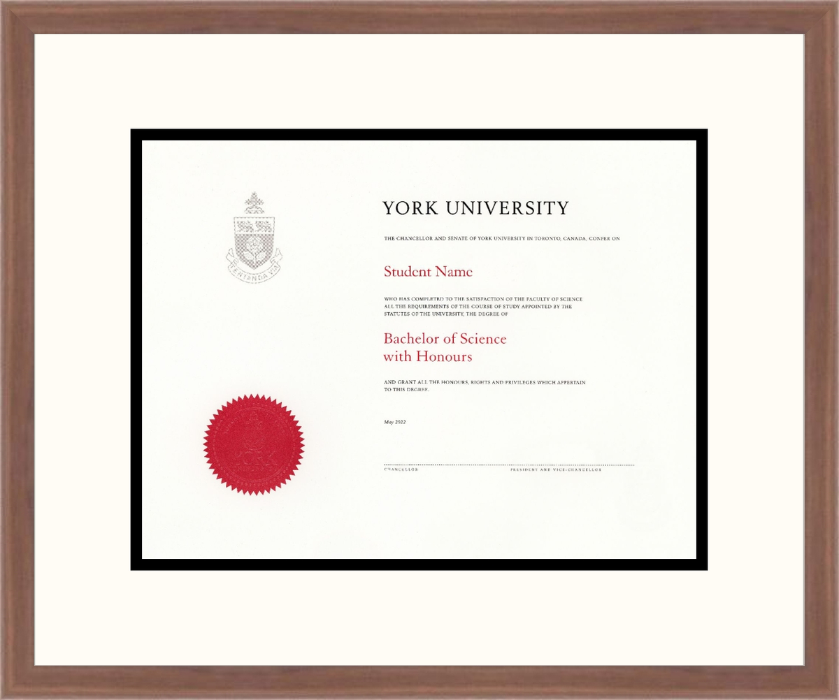 Custom York University Diploma Frame