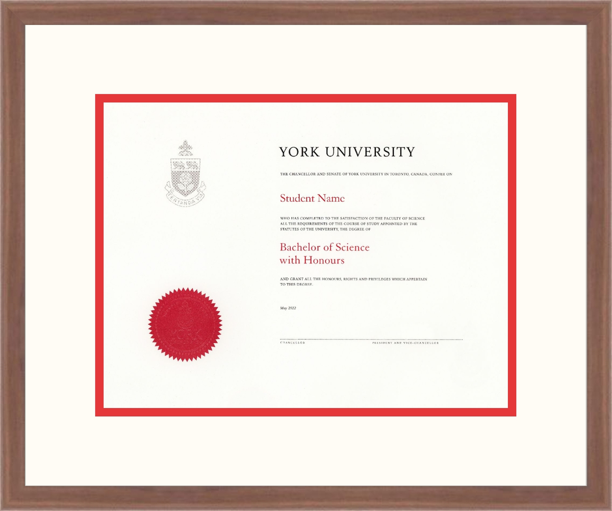Custom York University Diploma Frame