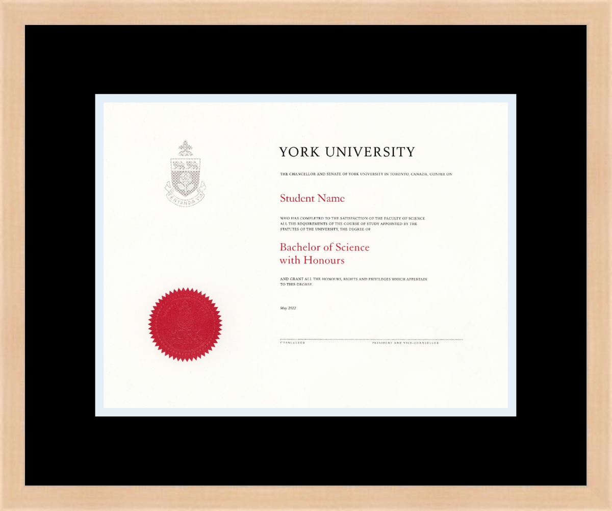 Custom York University Diploma Frame