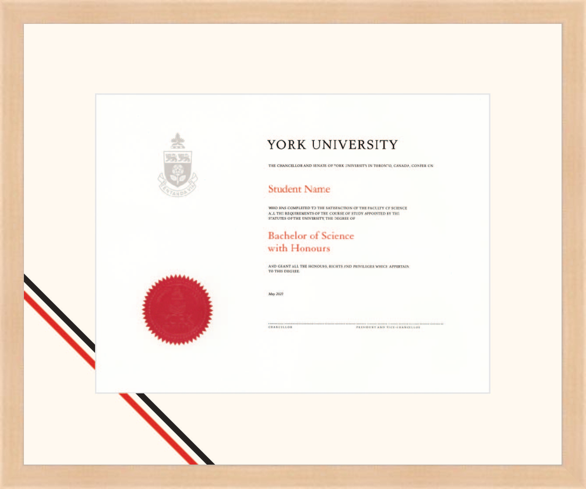 Custom York University Diploma Frame