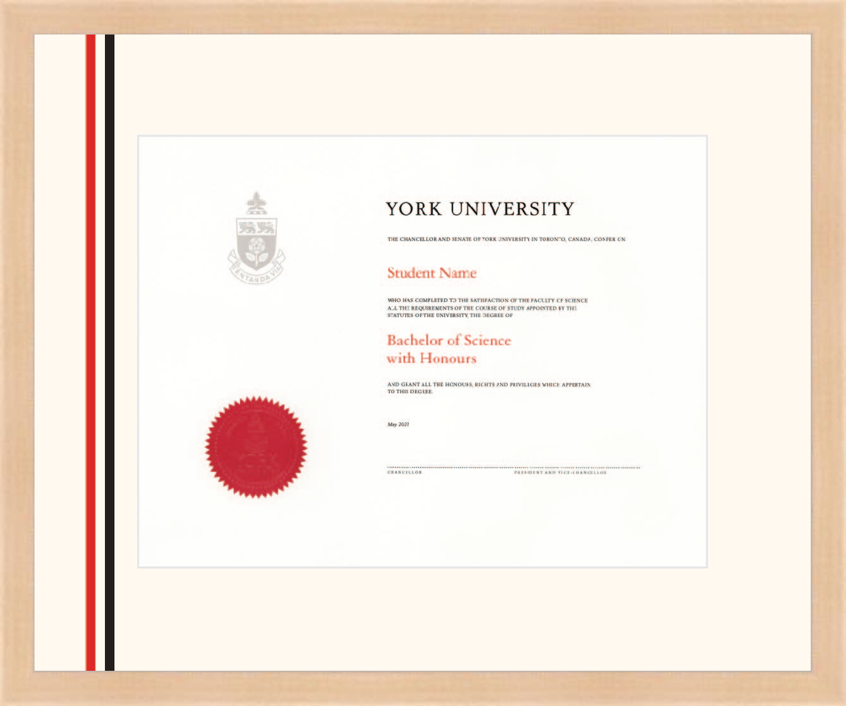 Custom York University Diploma Frame