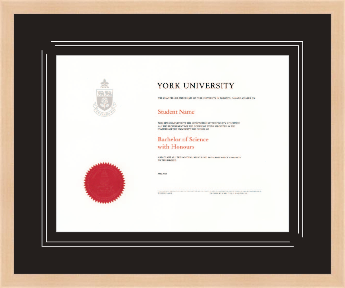 Custom York University Diploma Frame